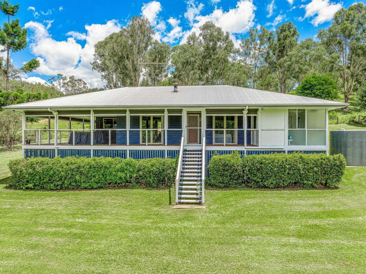 1100 Rossmore Road, Black Snake Sold by Farmbuy.com - image 14
