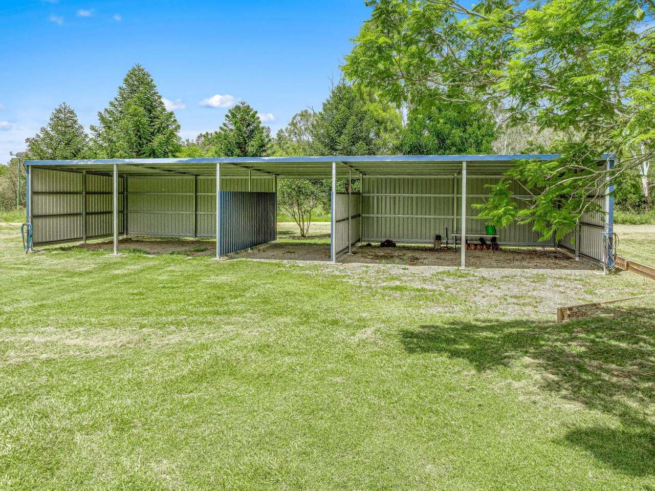 1100 Rossmore Road, Black Snake Sold by Farmbuy.com - image 18