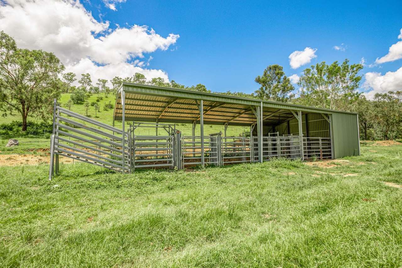1100 Rossmore Road, Black Snake Sold by Farmbuy.com - image 19