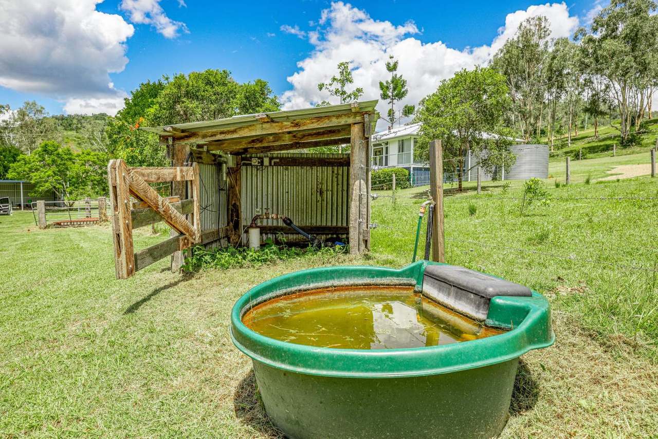 1100 Rossmore Road, Black Snake Sold by Farmbuy.com - image 20