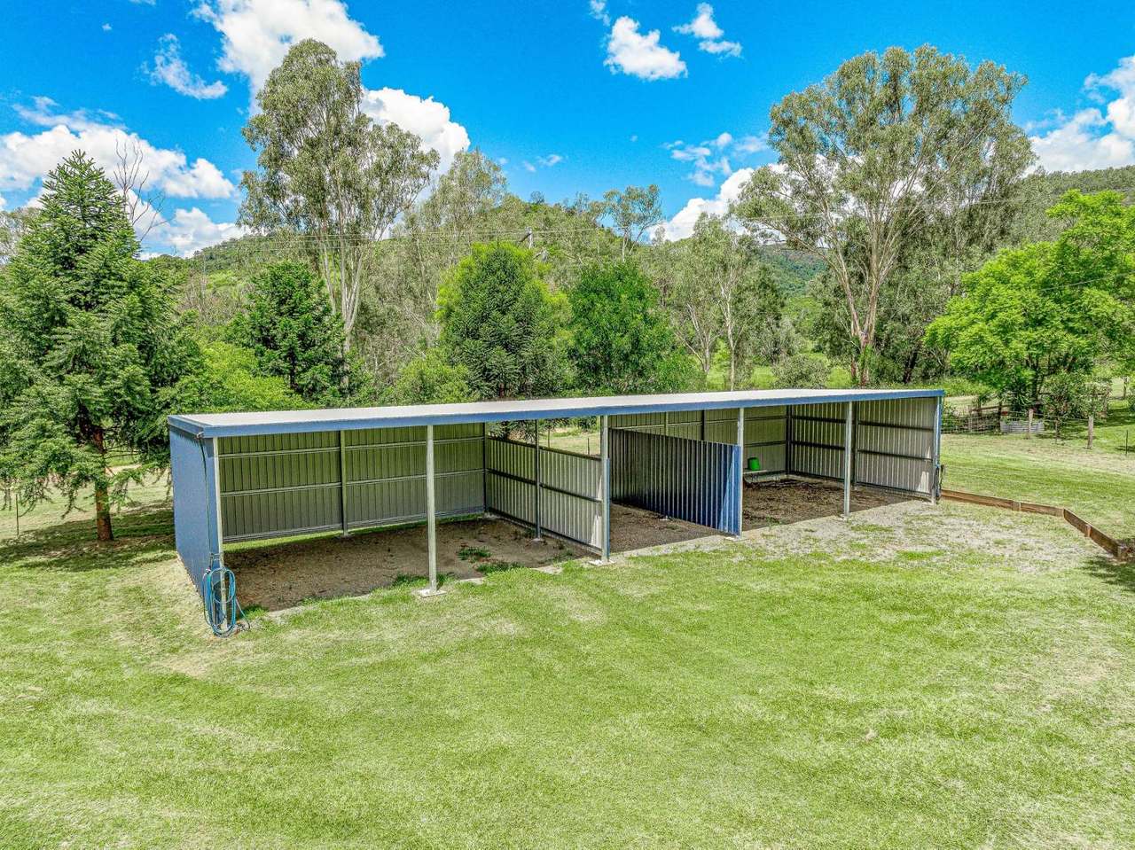 1100 Rossmore Road, Black Snake Sold by Farmbuy.com - image 17