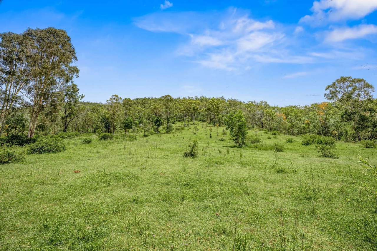 1100 Rossmore Road, Black Snake Sold by Farmbuy.com - image 26