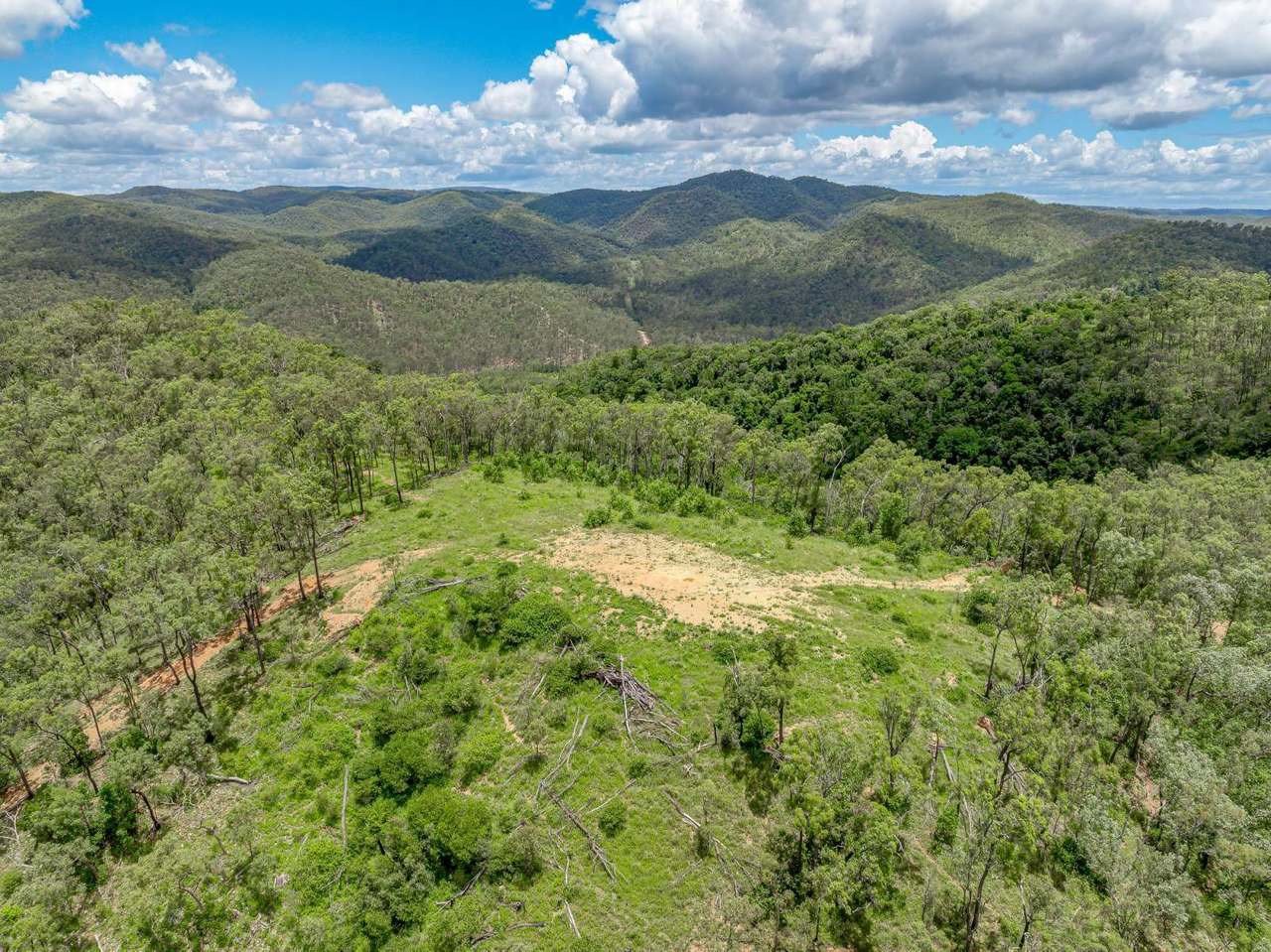 1100 Rossmore Road, Black Snake Sold by Farmbuy.com - image 29