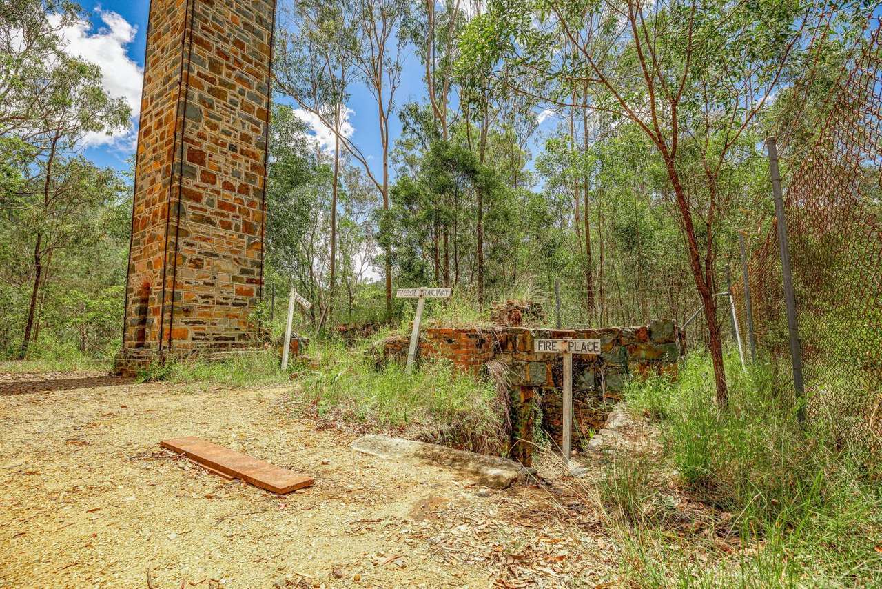 1100 Rossmore Road, Black Snake Sold by Farmbuy.com - image 35