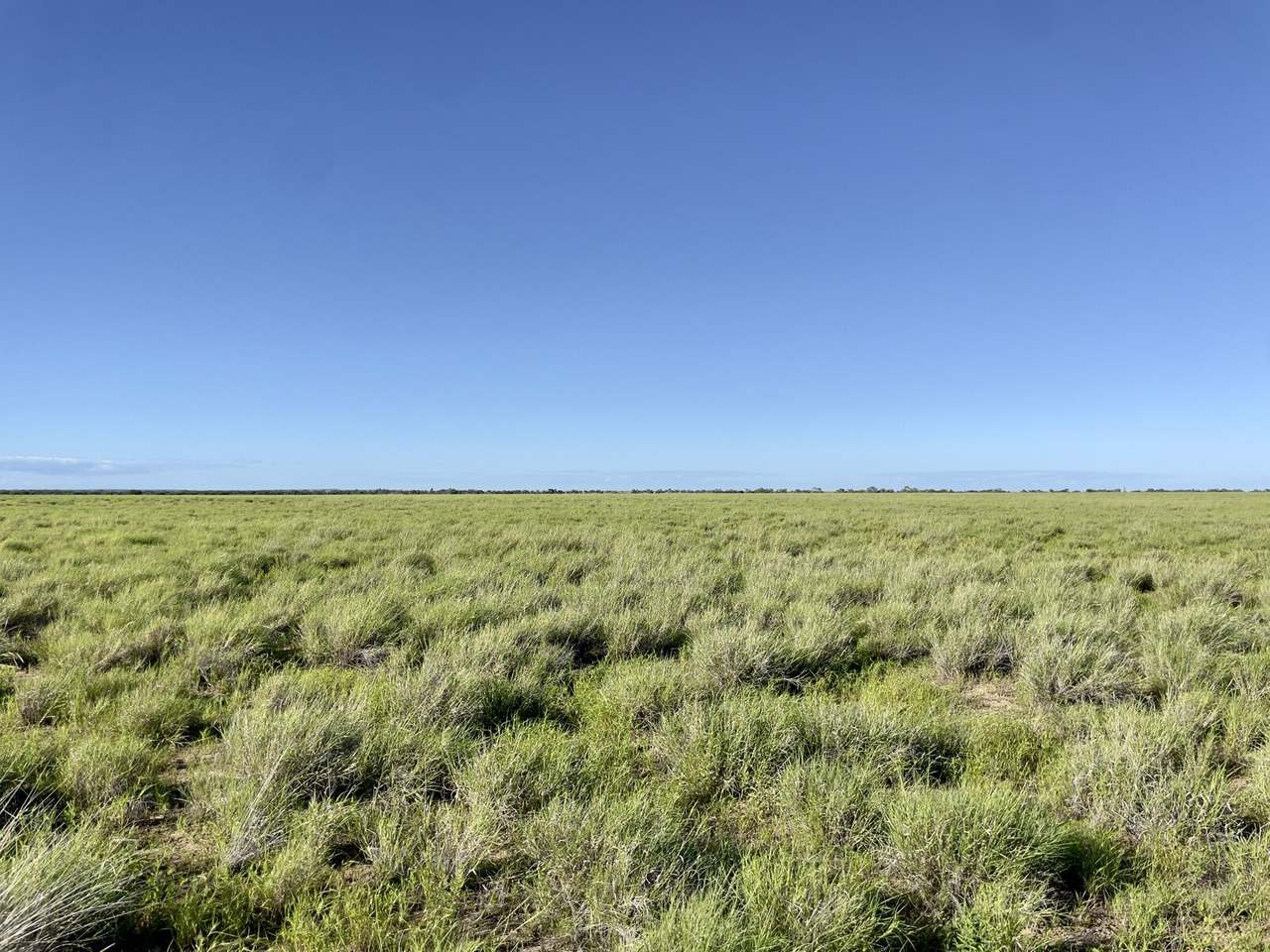 5480 Diamantina River Road, Opalton Sold by Farmbuy.com - image 2