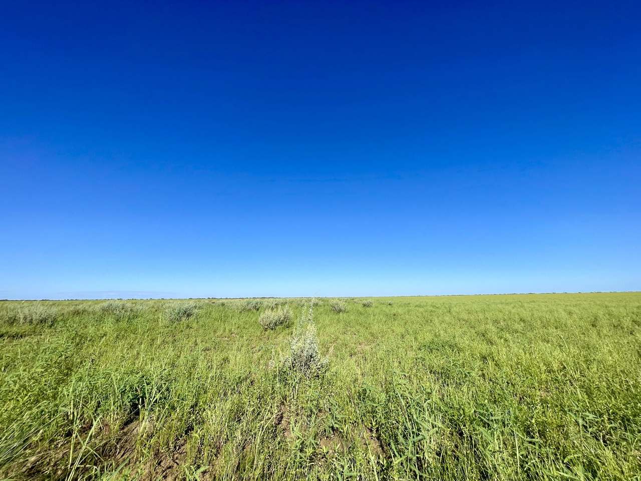 5480 Diamantina River Road, Opalton Sold by Farmbuy.com - image 20