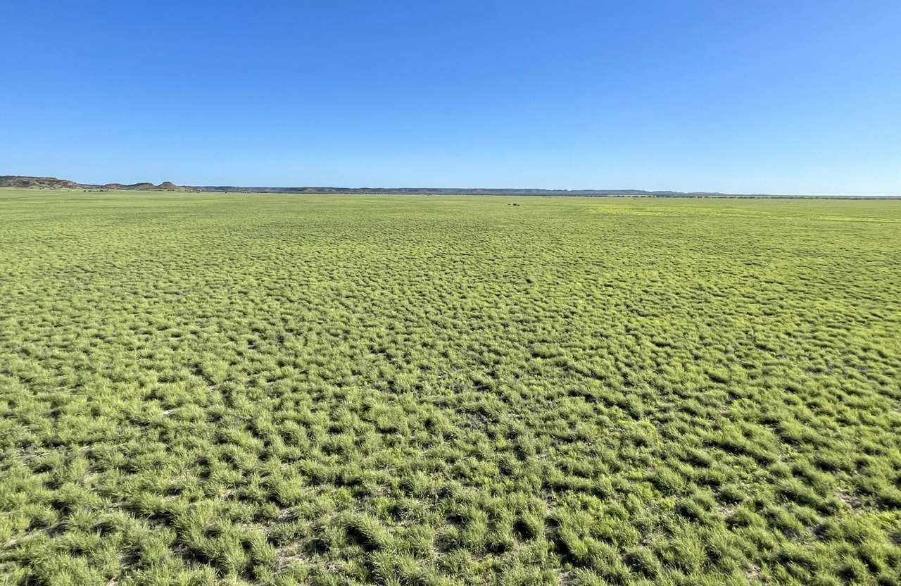 5480 Diamantina River Road, Opalton Sold by Farmbuy.com - image 8