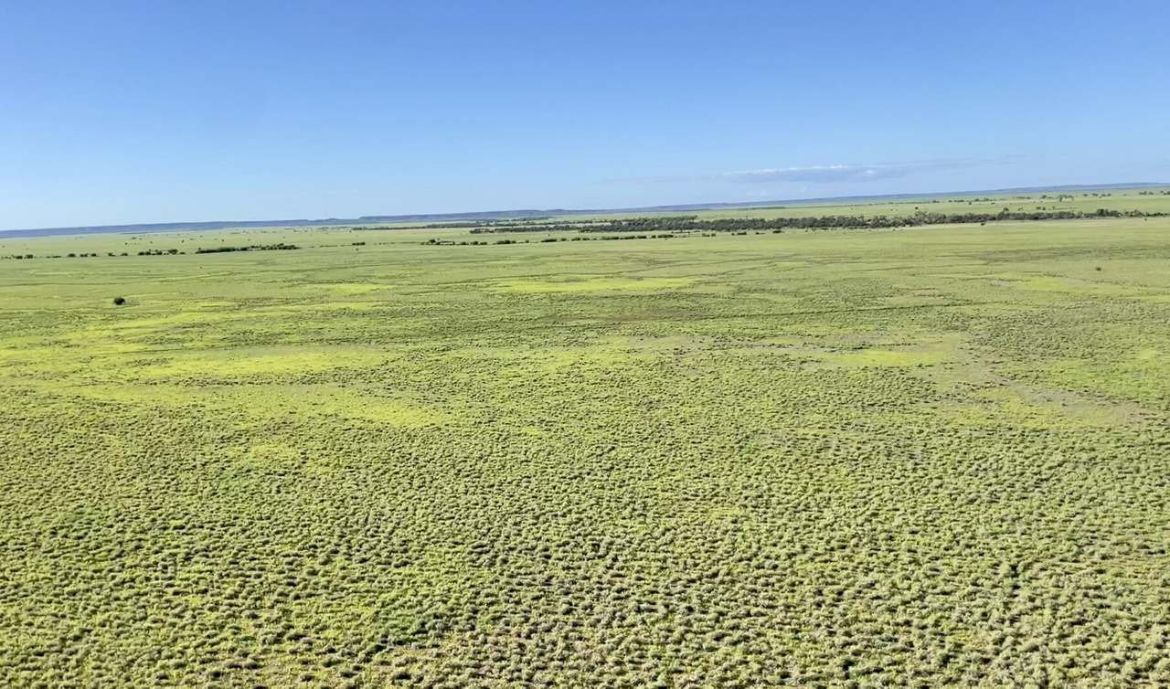 5480 Diamantina River Road, Opalton Sold by Farmbuy.com - image 3