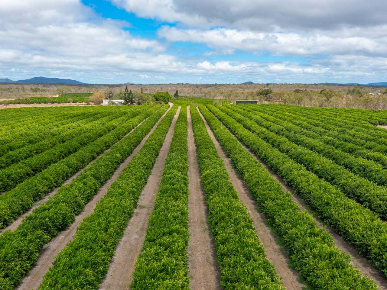 22 LEONARDI ROAD, MAREEBA For Sale by Farmbuy.com - image 23