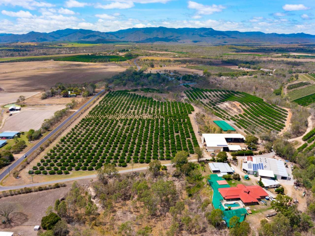 22 LEONARDI ROAD, MAREEBA For Sale by Farmbuy.com - image 2