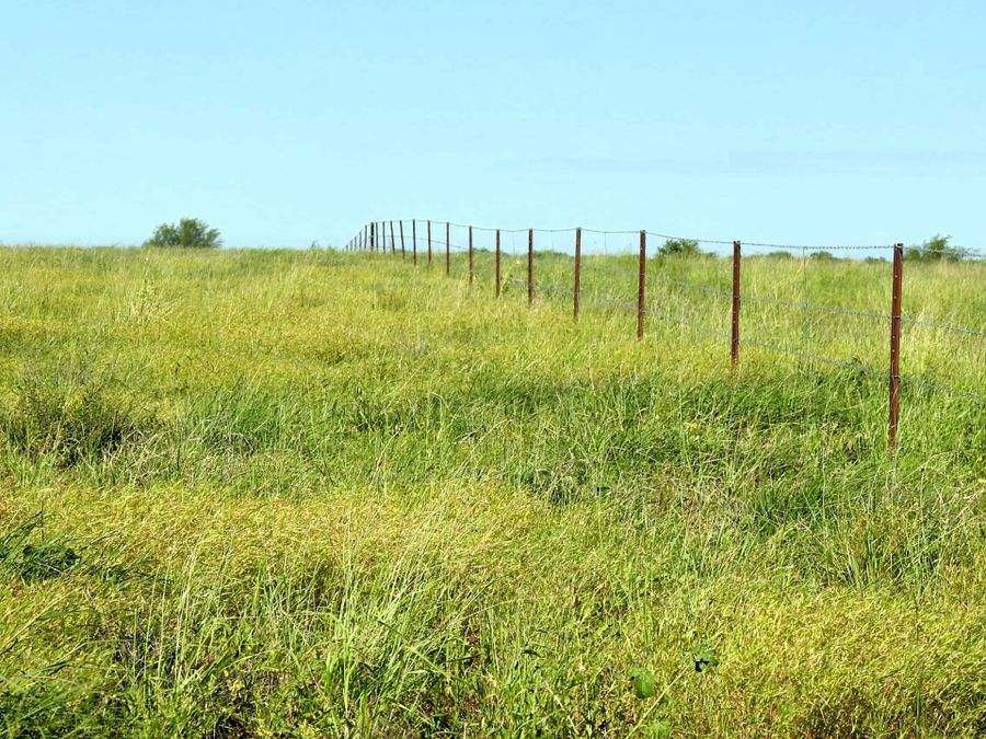 "Mugwee ", Hughenden For Sale by Farmbuy.com - image 27