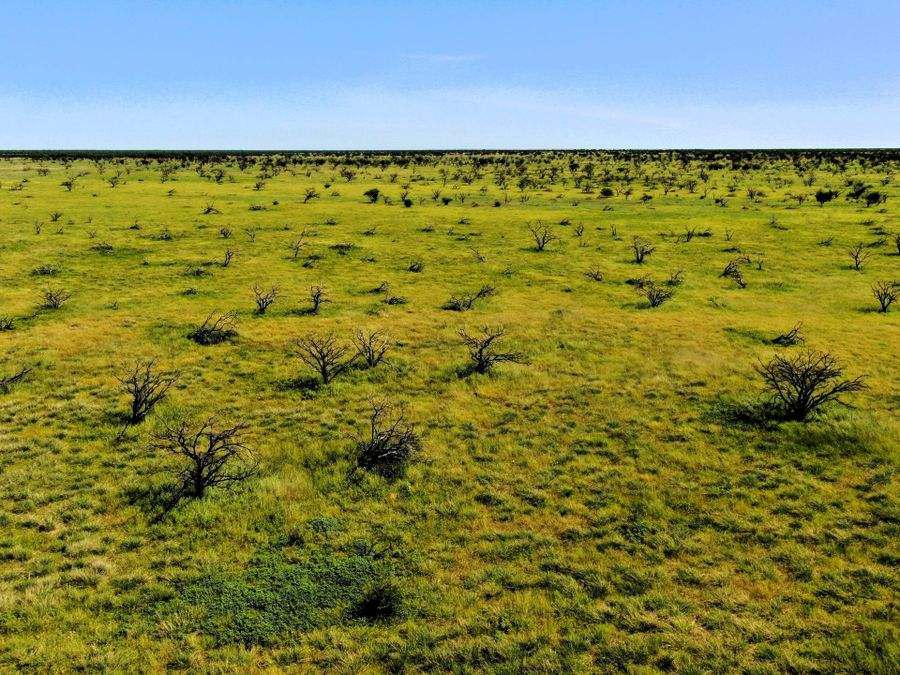 "Mugwee ", Hughenden For Sale by Farmbuy.com - image 35