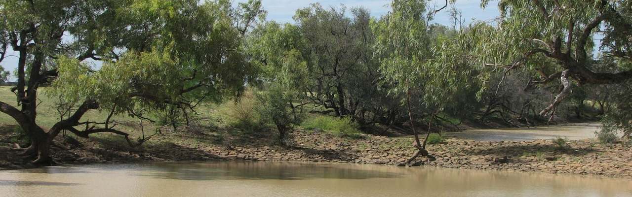 "Mugwee ", Hughenden For Sale by Farmbuy.com - image 43