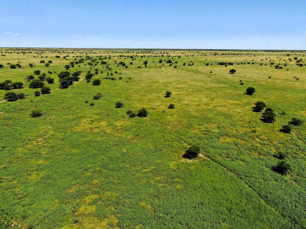 "Mugwee ", Hughenden For Sale by Farmbuy.com - image 39