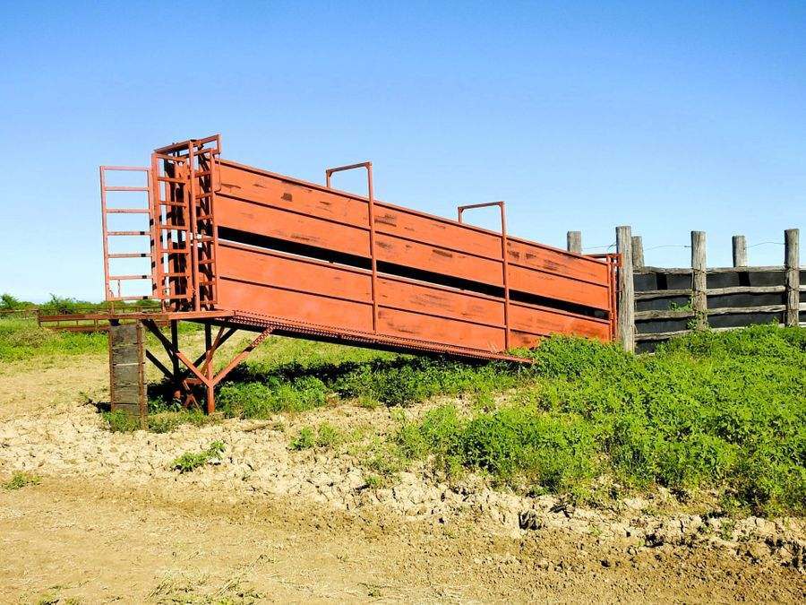 "Mugwee ", Hughenden For Sale by Farmbuy.com - image 16
