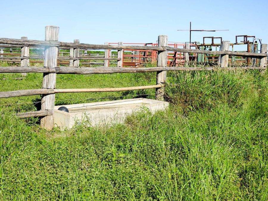 "Mugwee ", Hughenden For Sale by Farmbuy.com - image 18
