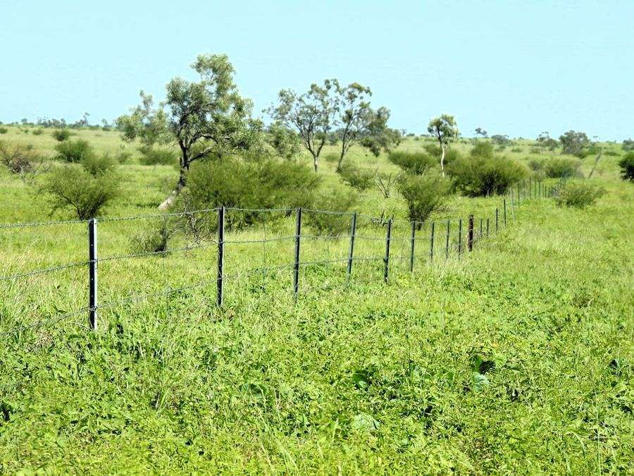"Mugwee ", Hughenden For Sale by Farmbuy.com - image 28