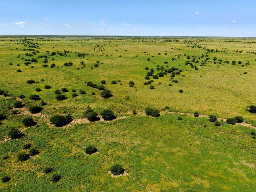 "Mugwee ", Hughenden For Sale by Farmbuy.com - image 40