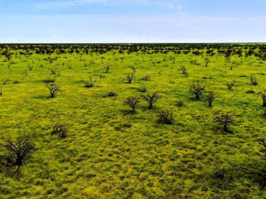 "Mugwee ", Hughenden For Sale by Farmbuy.com - image 36