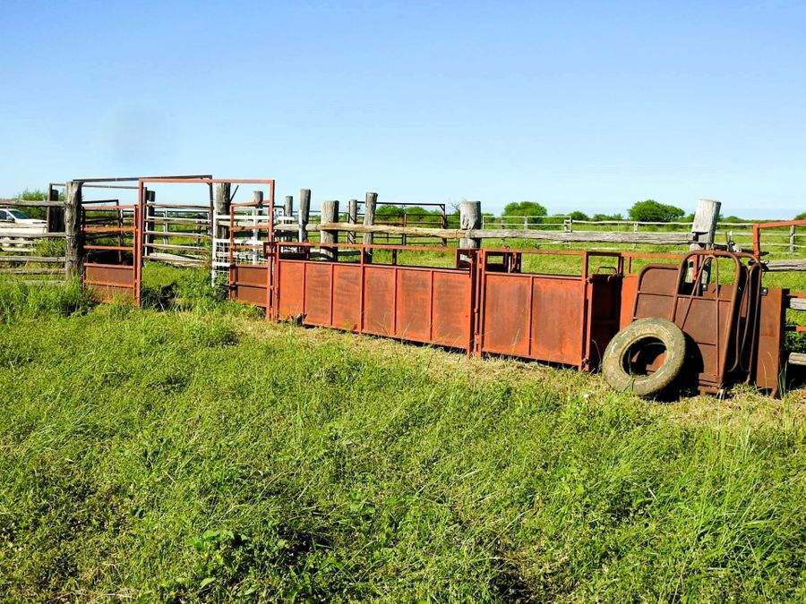 "Mugwee ", Hughenden For Sale by Farmbuy.com - image 19