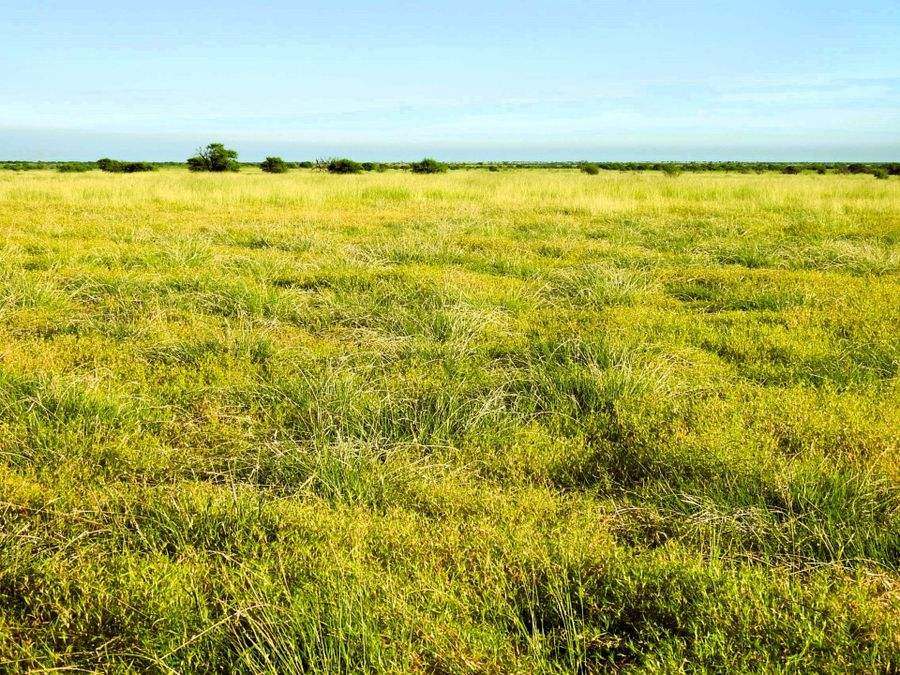 "Mugwee ", Hughenden For Sale by Farmbuy.com - image 1