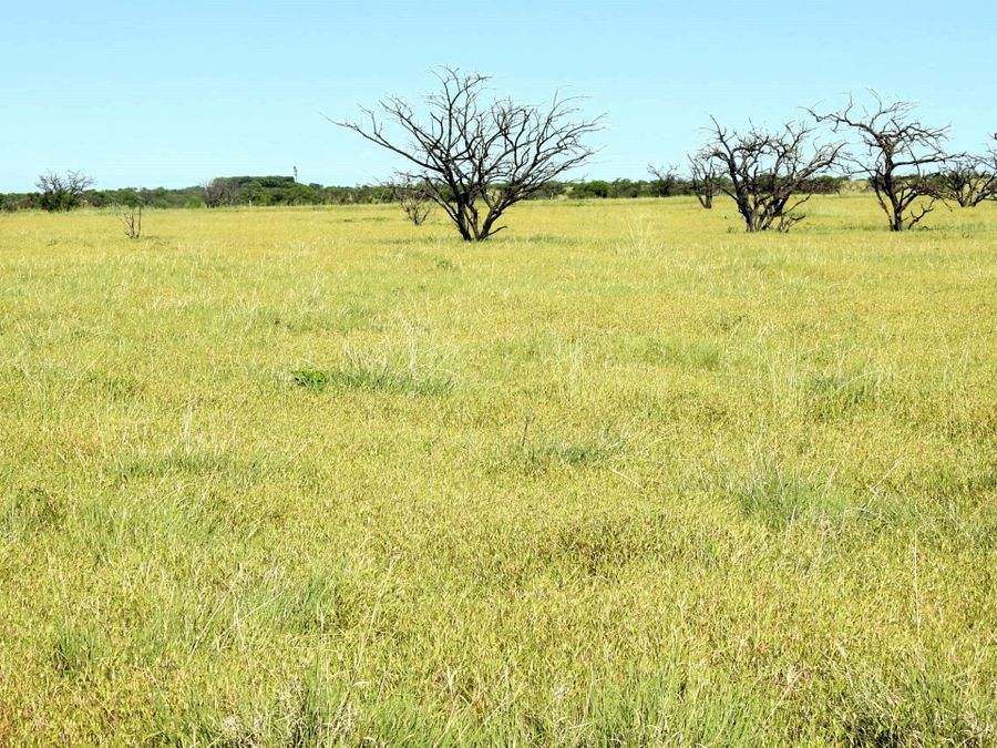 "Mugwee ", Hughenden For Sale by Farmbuy.com - image 29