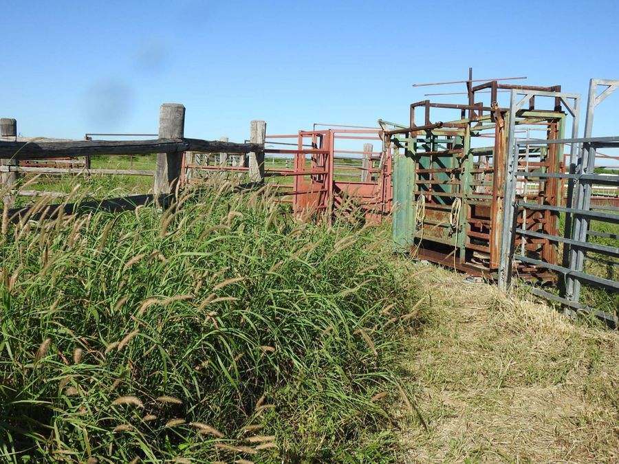 "Mugwee ", Hughenden For Sale by Farmbuy.com - image 17
