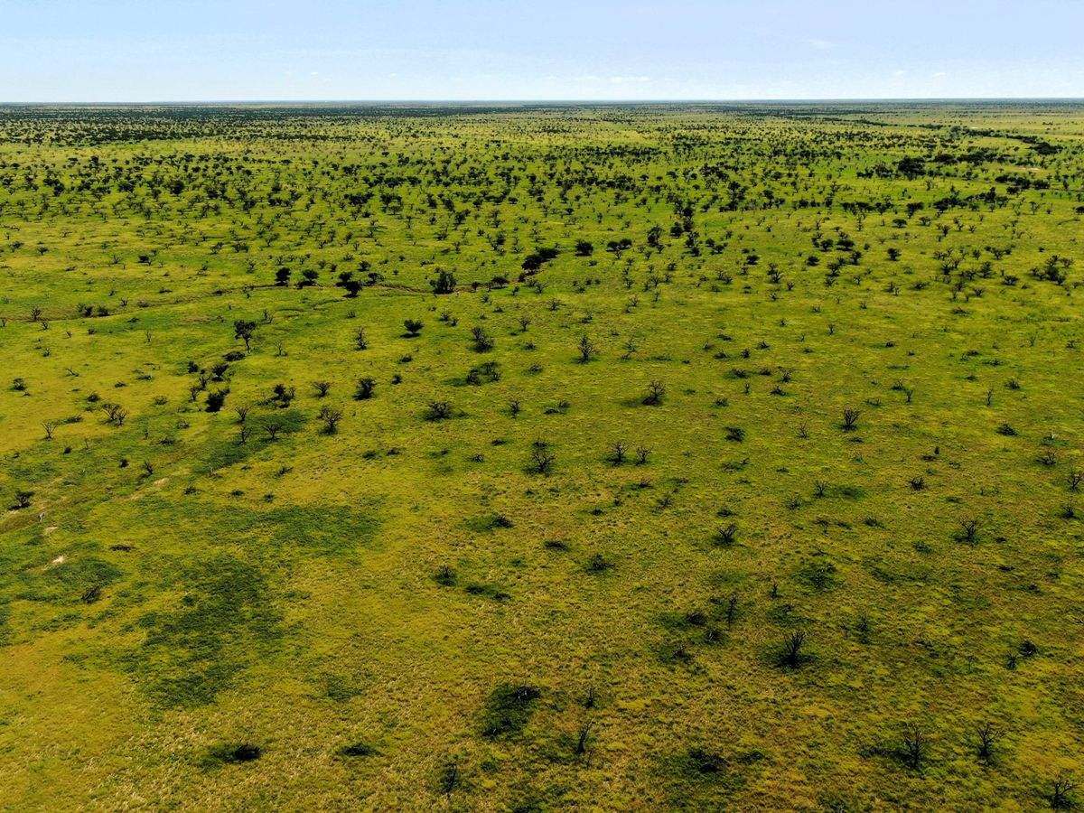 "Mugwee ", Hughenden For Sale by Farmbuy.com - image 37