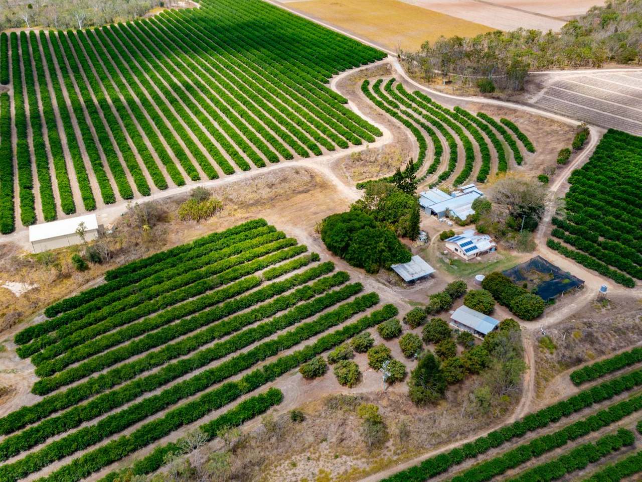 402 TINAROO CREEK ROAD, MAREEBA For Sale by Farmbuy.com - image 1