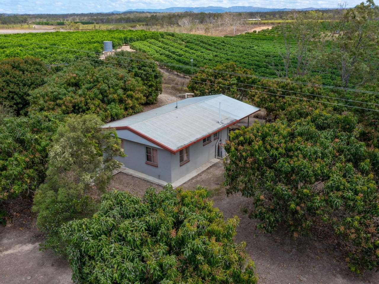 402 TINAROO CREEK ROAD, MAREEBA For Sale by Farmbuy.com - image 6