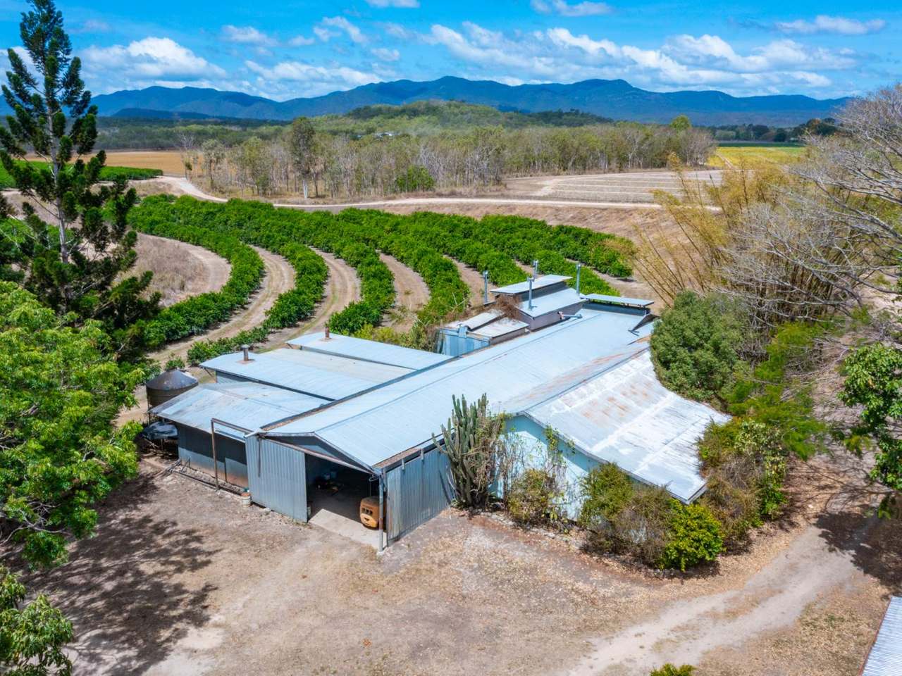 402 TINAROO CREEK ROAD, MAREEBA For Sale by Farmbuy.com - image 3