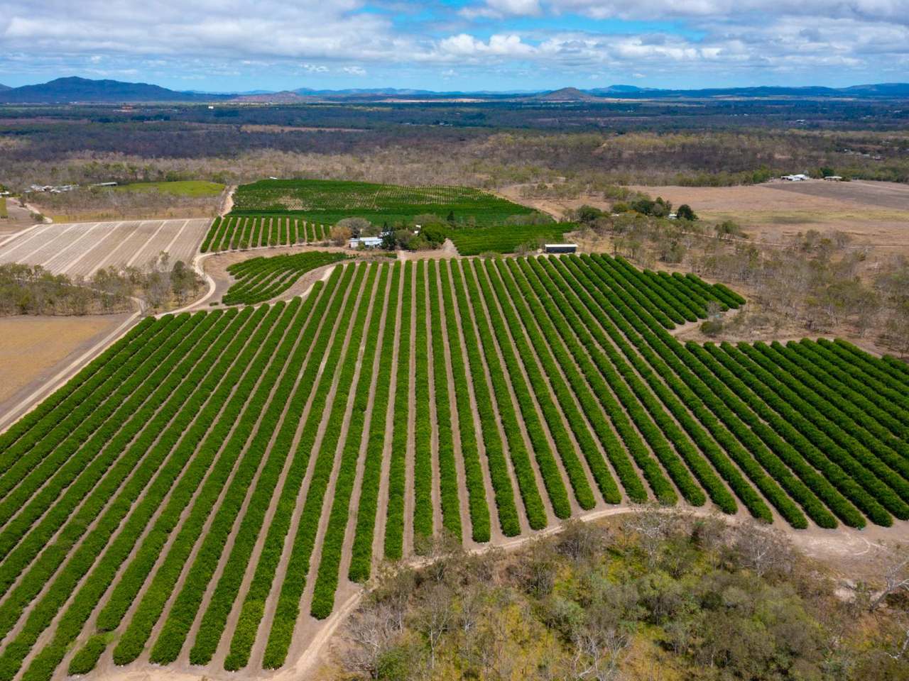 402 TINAROO CREEK ROAD, MAREEBA For Sale by Farmbuy.com - image 2