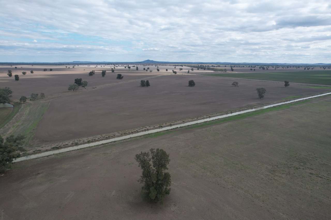 Waroo Road , Corinella For Sale by Farmbuy.com - image 11