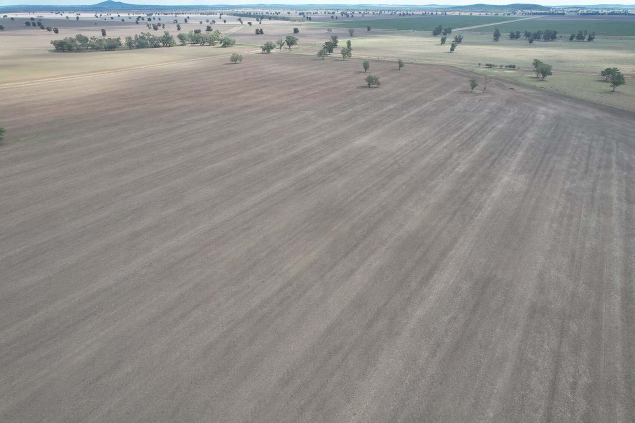 Waroo Road , Corinella For Sale by Farmbuy.com - image 6