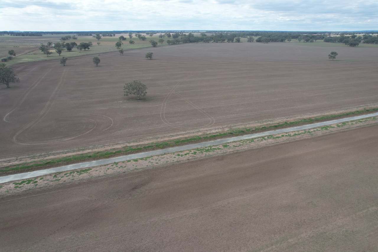 Waroo Road , Corinella For Sale by Farmbuy.com - image 5