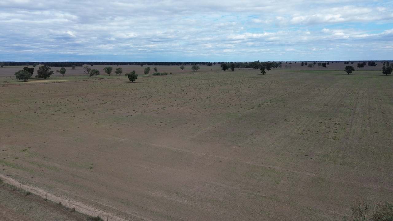 Waroo Road , Corinella For Sale by Farmbuy.com - image 12