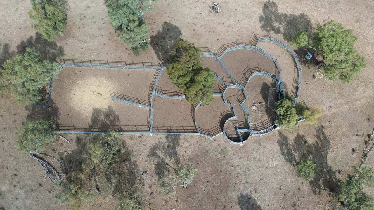 Waroo Road , Corinella For Sale by Farmbuy.com - image 3