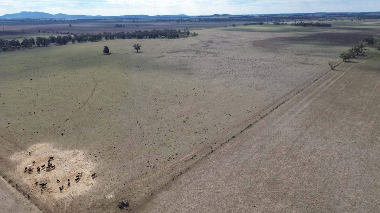 Waroo Road , Corinella For Sale by Farmbuy.com - image 9