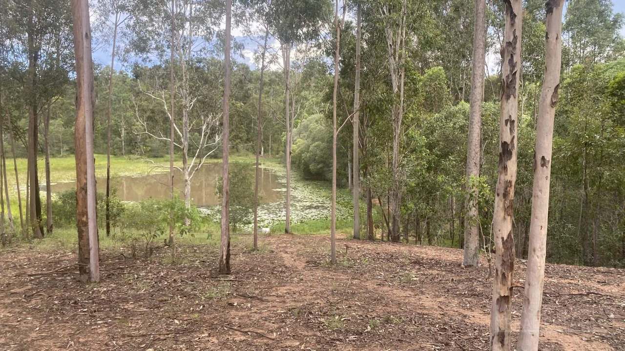 20 Rialta Road, Bauple For Sale by Farmbuy.com - image 32