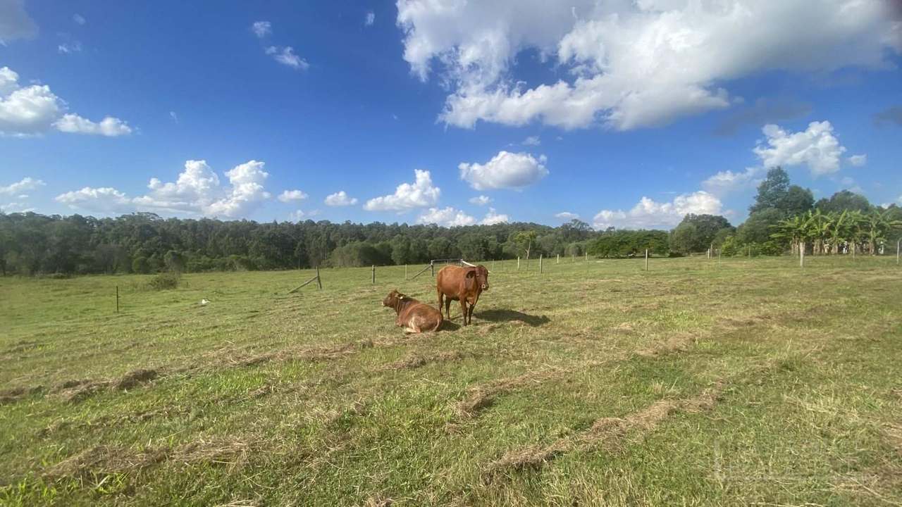 20 Rialta Road, Bauple For Sale by Farmbuy.com - image 29