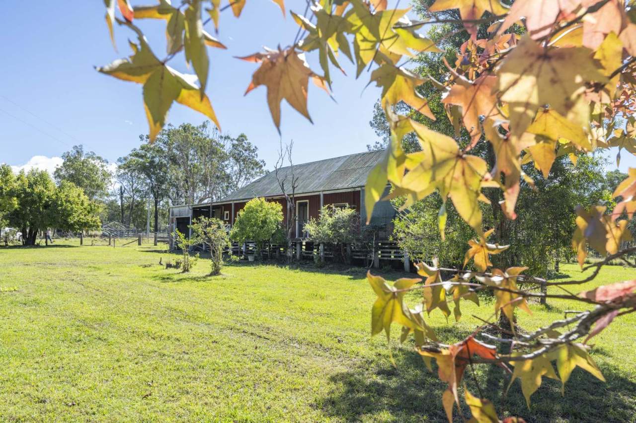 199 Boundary Creek Road , Nymboida For Sale by Farmbuy.com - image 3