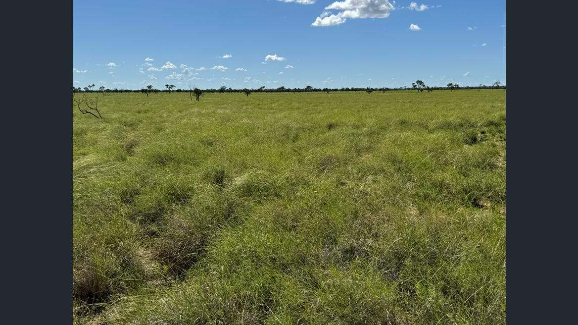 16589 Thomson Developmental Road, Longreach For Sale by Farmbuy.com - image 5