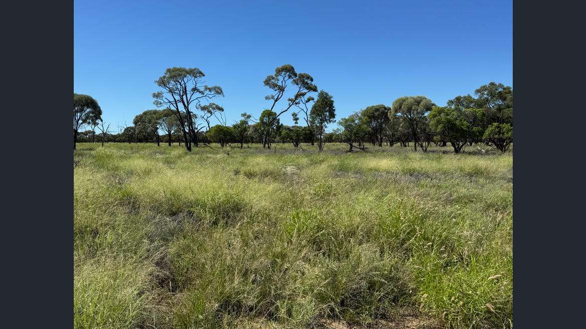 16589 Thomson Developmental Road, Longreach For Sale by Farmbuy.com - image 7