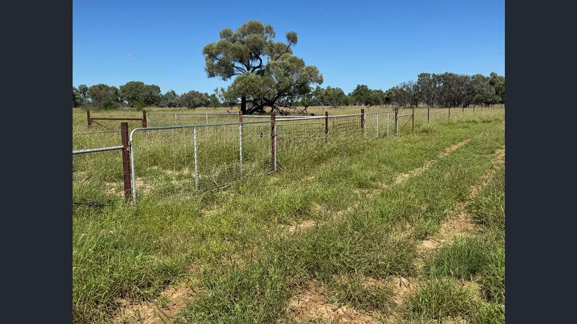16589 Thomson Developmental Road, Longreach For Sale by Farmbuy.com - image 13
