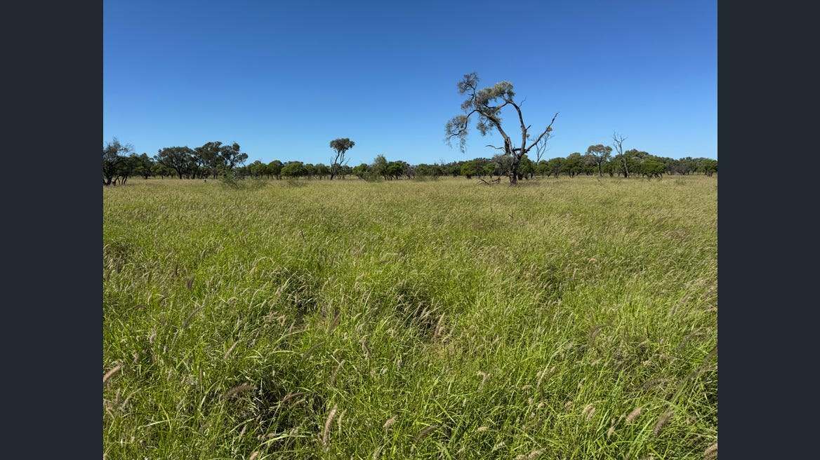 16589 Thomson Developmental Road, Longreach For Sale by Farmbuy.com - image 2