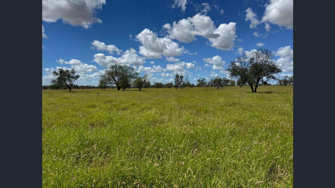 16589 Thomson Developmental Road, Longreach For Sale by Farmbuy.com - image 4