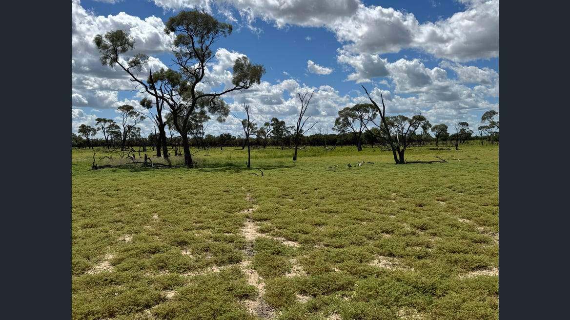 16589 Thomson Developmental Road, Longreach For Sale by Farmbuy.com - image 24
