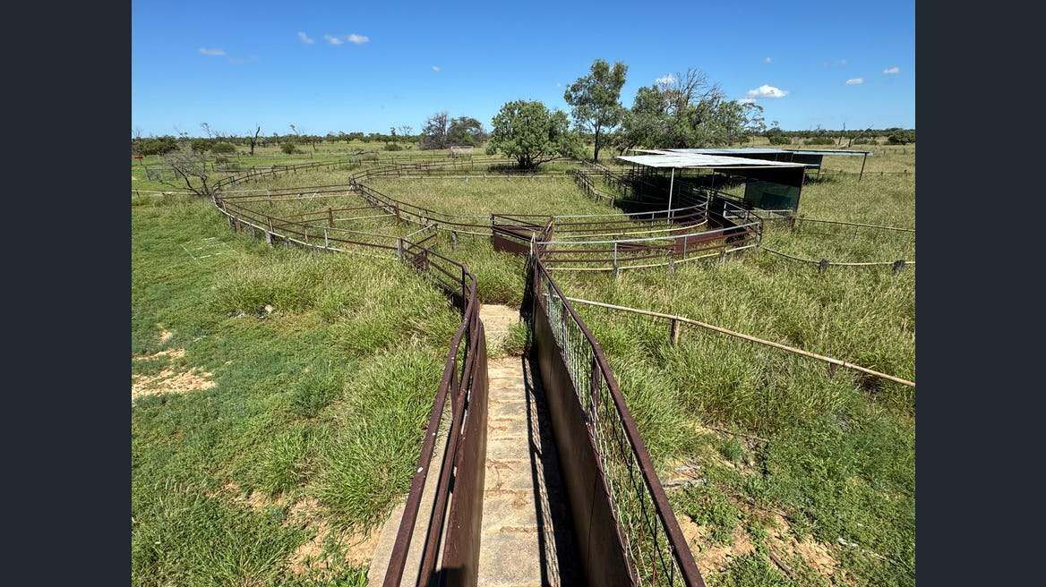 16589 Thomson Developmental Road, Longreach For Sale by Farmbuy.com - image 33