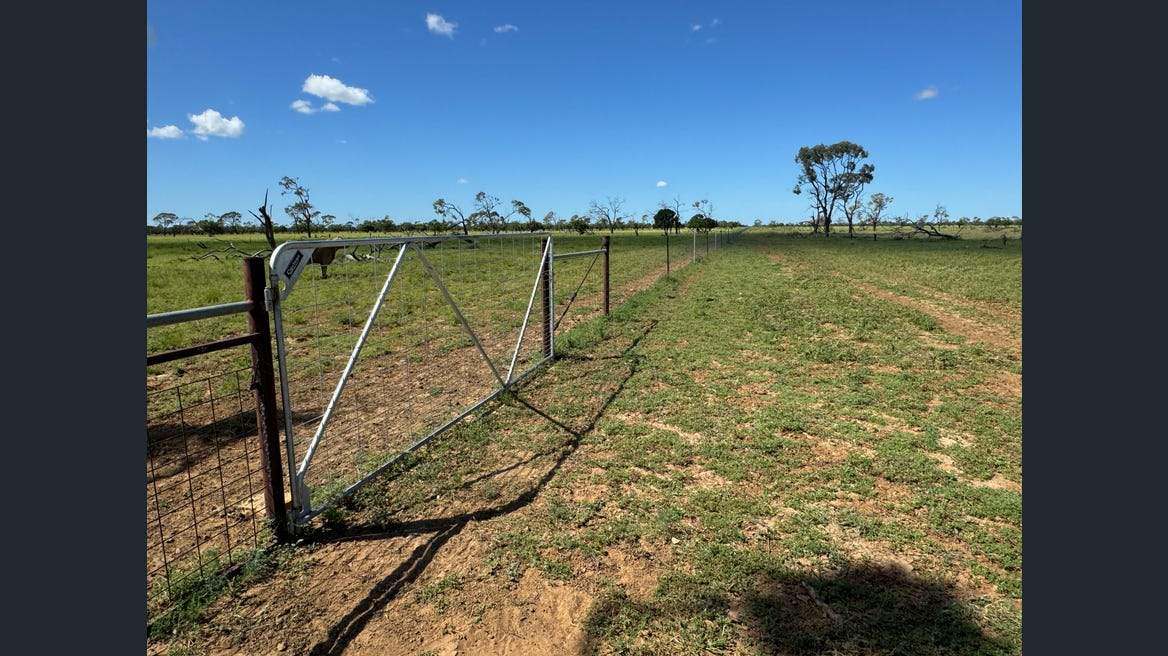 16589 Thomson Developmental Road, Longreach For Sale by Farmbuy.com - image 19