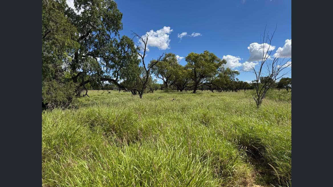 16589 Thomson Developmental Road, Longreach For Sale by Farmbuy.com - image 10